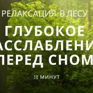 Глубокое расслабление перед сном. Релаксация в лесу