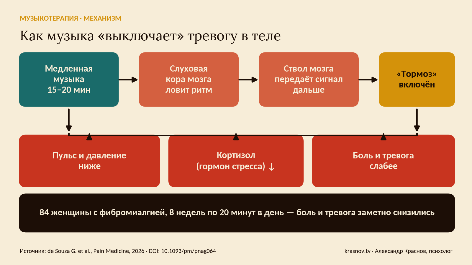 Схема механизма музыкотерапии: медленная музыка снижает пульс, кортизол, боль и тревогу