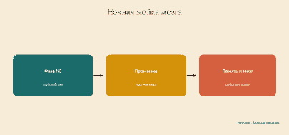 Глубокий сон: зачем мозгу ночная уборка