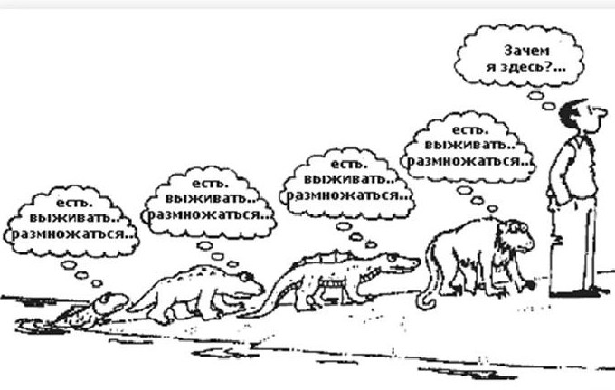 Зачем живет человек, варианты смыслов жизни
